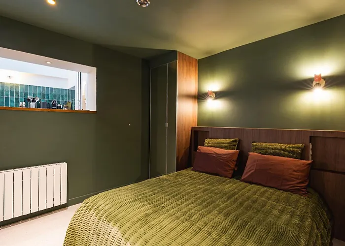 Mini Loft Buttes Chaumont Appartement Parijs